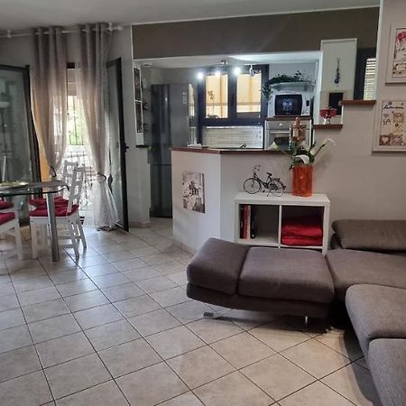 Chic & Relax Apartment Rimini Eksteriør billede